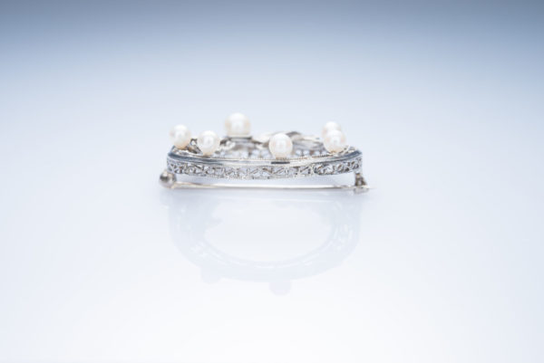 Exquisite in Platinum - Image 2